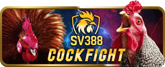 Game thủ eSports đang thi đấu trên máy tính